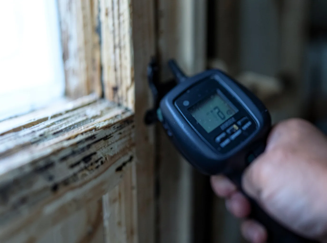 Moisture Inspection And Documentation in Hagan, GA